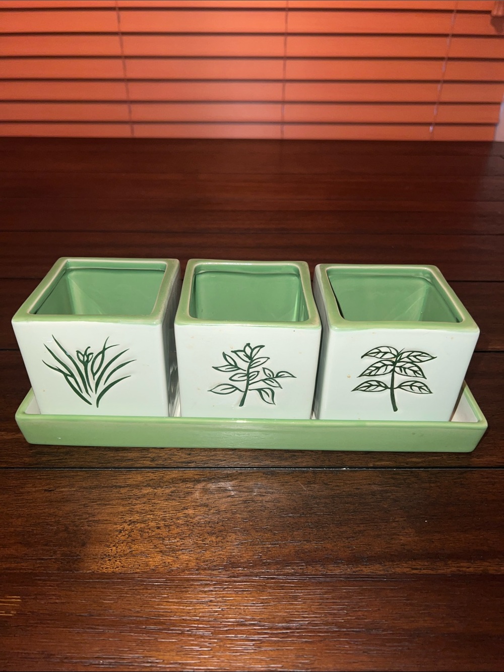 Green Ceramic Herb Plant Pot Set